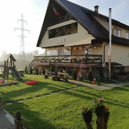 Guest house Casa Sofia Dorna Candrenilor 3*