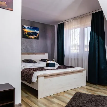Guest house Casa Sofia Dorna Candrenilor