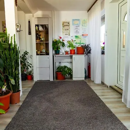 Guest house Casa Sofia Dorna Candrenilor 3*