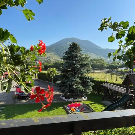 Casa Sofia Dorna Candrenilor Guest house 3*