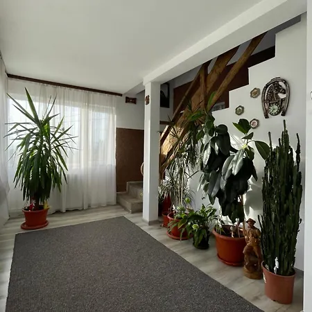Casa Sofia Dorna Candrenilor Guest house