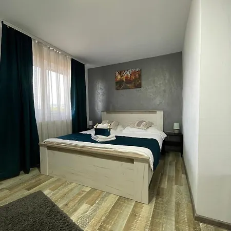 Casa Sofia Dorna Candrenilor Guest house 3*