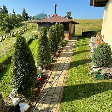 Casa Sofia Dorna Candrenilor Guest house Dorna Cindrenilor