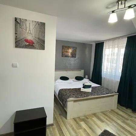 Guest house Casa Sofia Dorna Candrenilor Dorna Cindrenilor