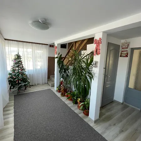 Casa Sofia Dorna Candrenilor 3*